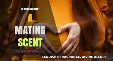 The Science Behind Human Pheromones: Do We Have a Mating Scent?