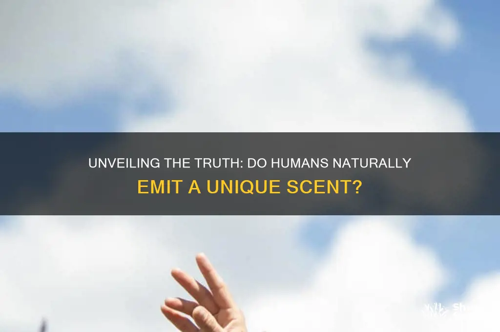 do humans have a natural scent