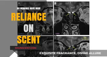 The Power of Scent: Uncovering Humans' Deep Olfactory Dependence