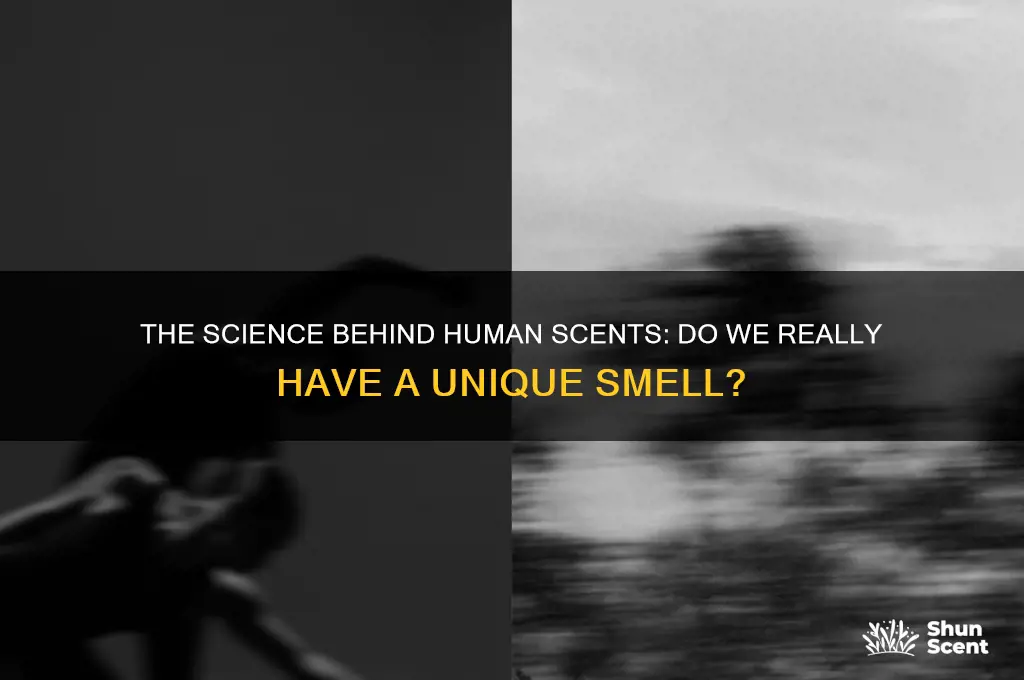 do humans have scents