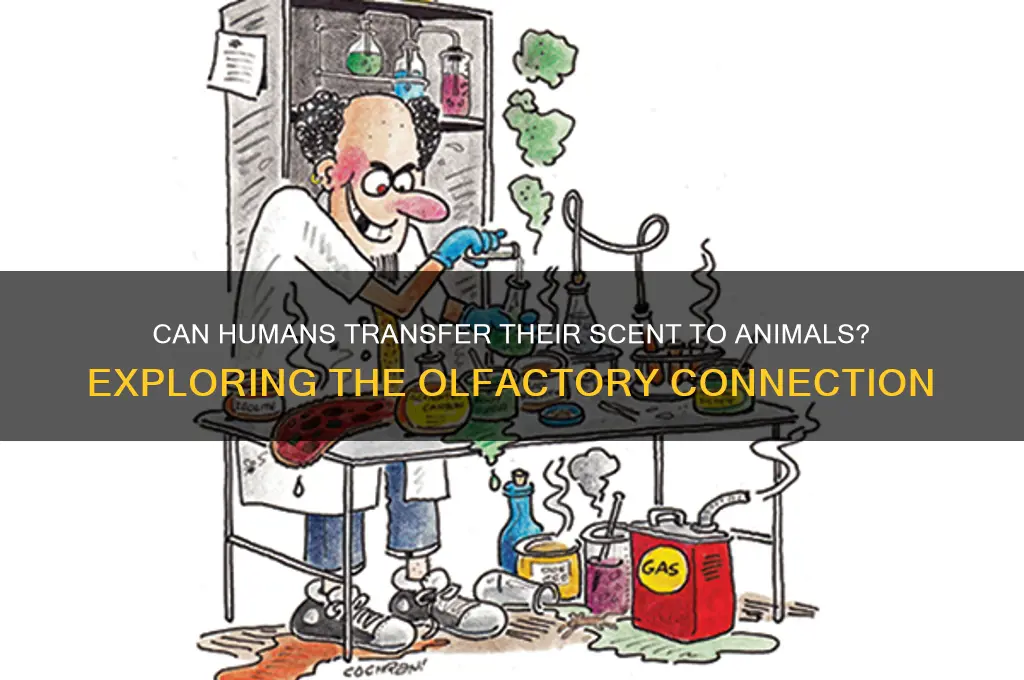 do humans leave a scent on animals