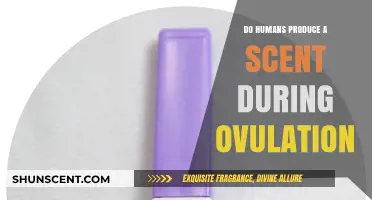 Ovulation's Secret Scent: Do Humans Emit a Fertility Signal?