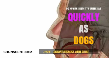 Sniffing Out the Truth: Human vs. Canine Olfactory Reaction Times