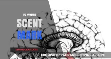 Unveiling the Truth: Do Humans Scent Mark Like Animals?