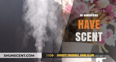 Do Humidifiers Have Scent? Exploring Aromatic Mist Possibilities