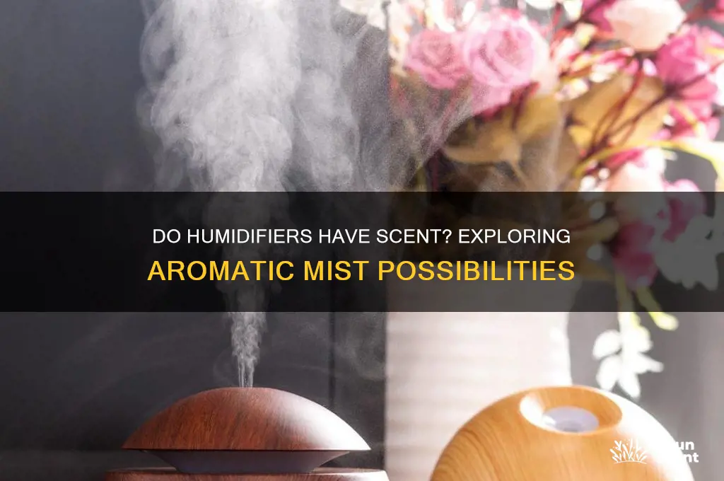 do humdifieirs have scent