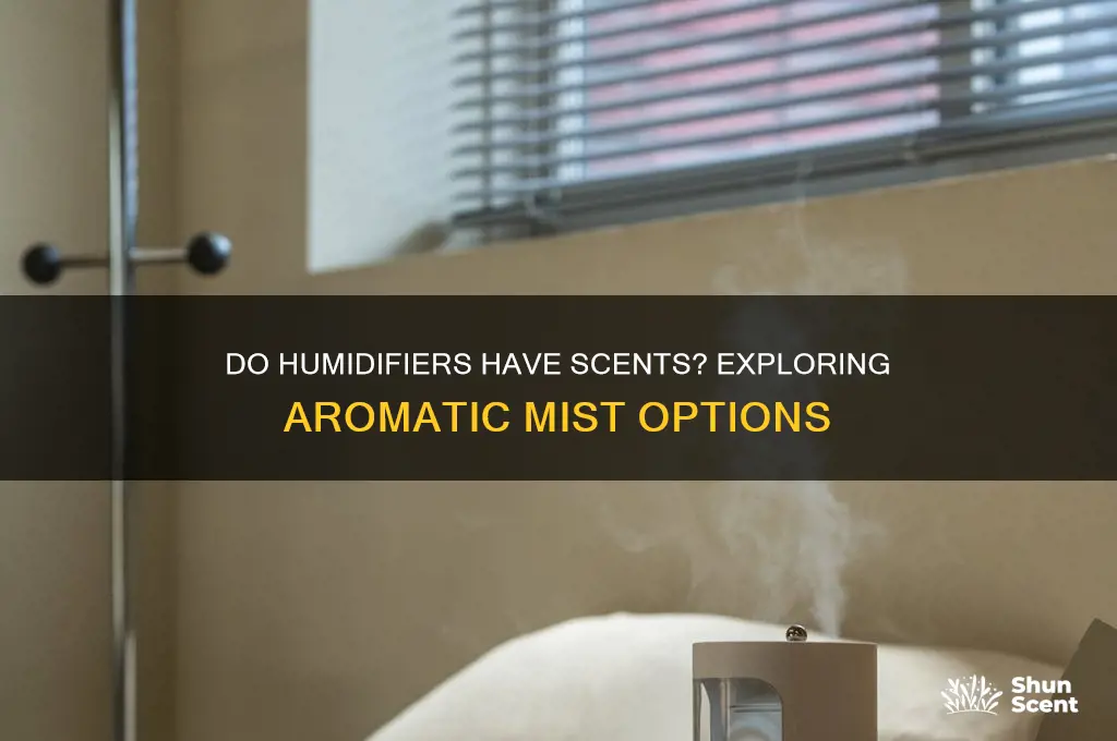 do humidifiers have scents