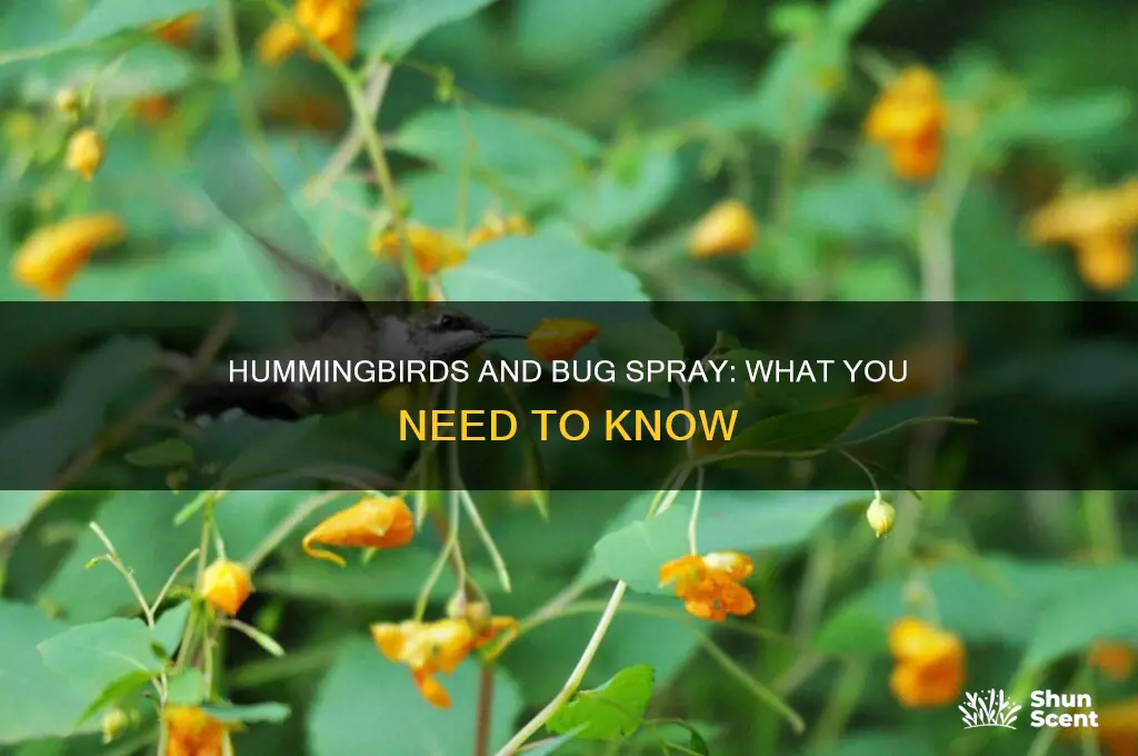 do hummingbirds scents bug spray