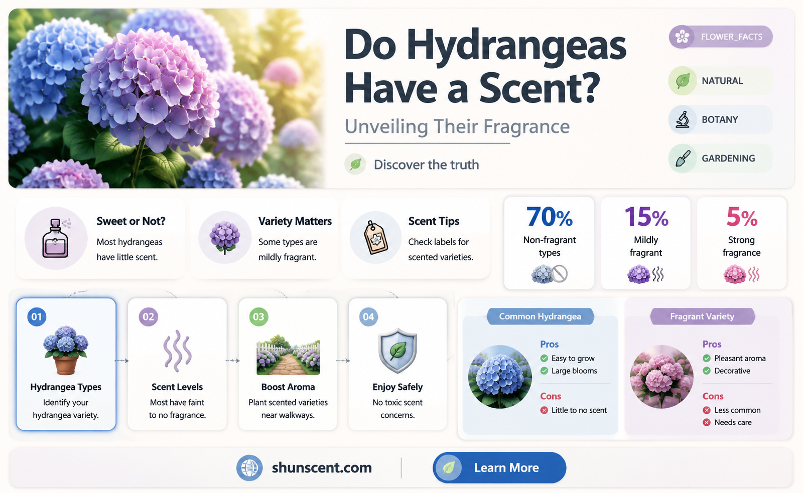 are hydrangeas scented