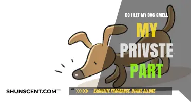 Should You Let Your Dog Sniff Your Private Areas?