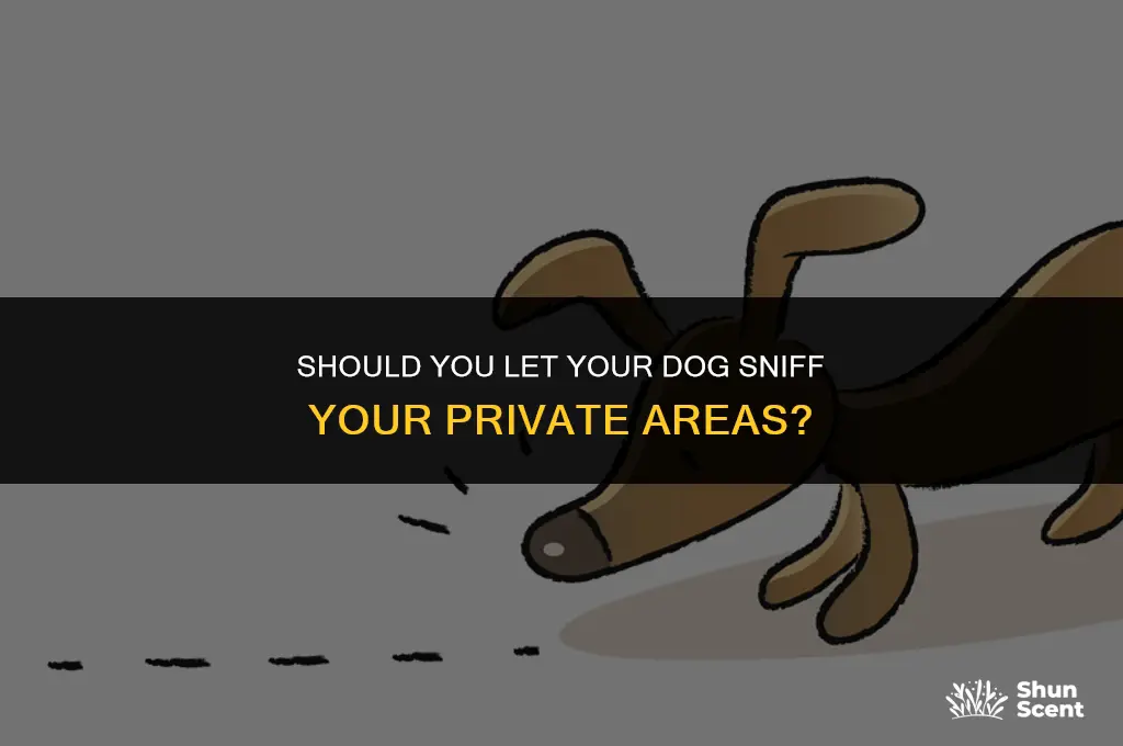 do i let my dog smell my privste part