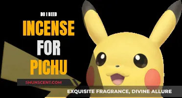 Incense for Pichu: What's the Deal?