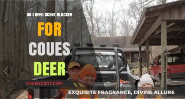 Scent Blocker for Coues Deer: Essential or Optional for Hunting Success?