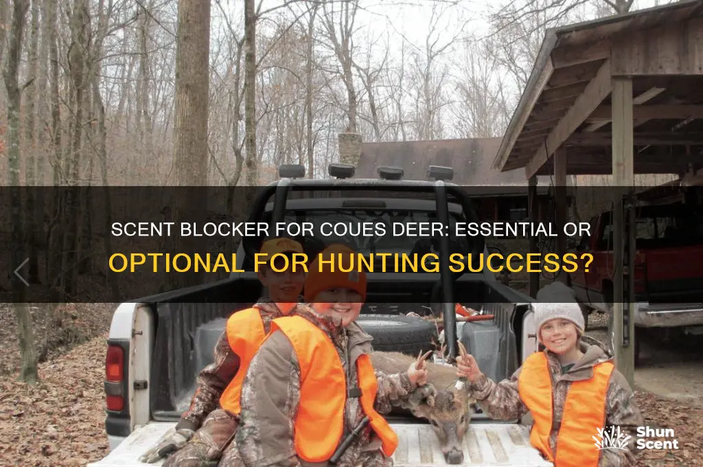 do i need scent blocker for coues deer