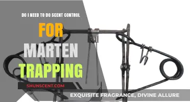 Effective Marten Trapping: Is Scent Control Essential for Success?