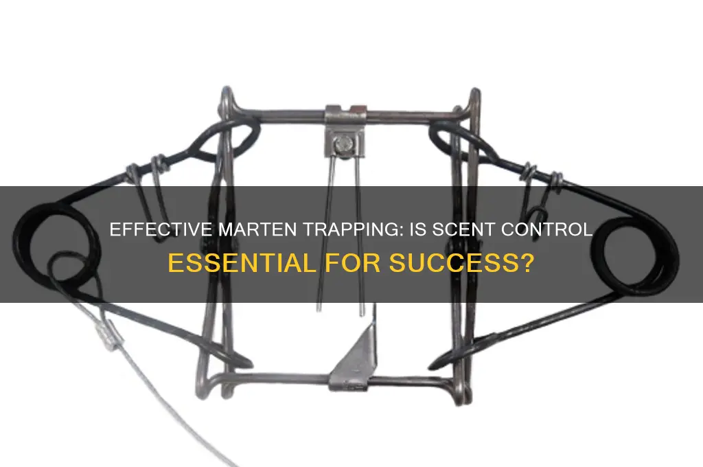 do i need to do scent control for marten trapping