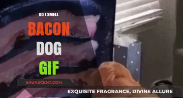 The Irresistible Lure of Bacon: A Canine's GIF Guide to Temptation
