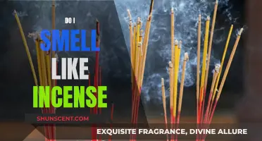 Incense and Identity: Do I Smell Like Incense?