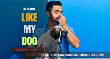 Do I Smell Like My Dog? A Pet Owner's Guide to Canine Scents