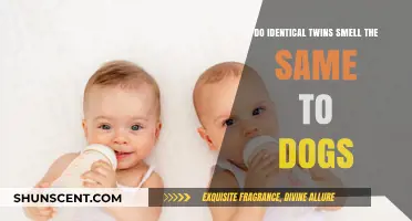 Do Identical Twins Share the Same Scent Signature for Dogs?