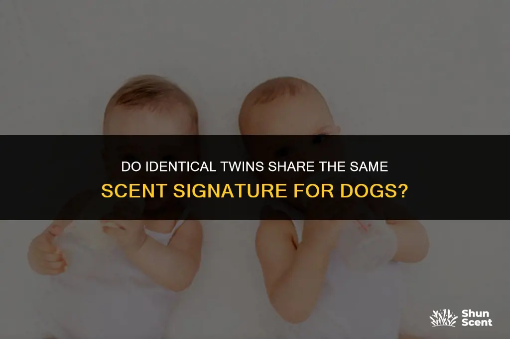 do identical twins smell the same to dogs