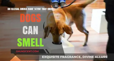 Can Drug Dogs Sniff Out Illegal Substances by Their Unique Scents?