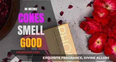 Incense Cones: Do They Smell Heavenly?