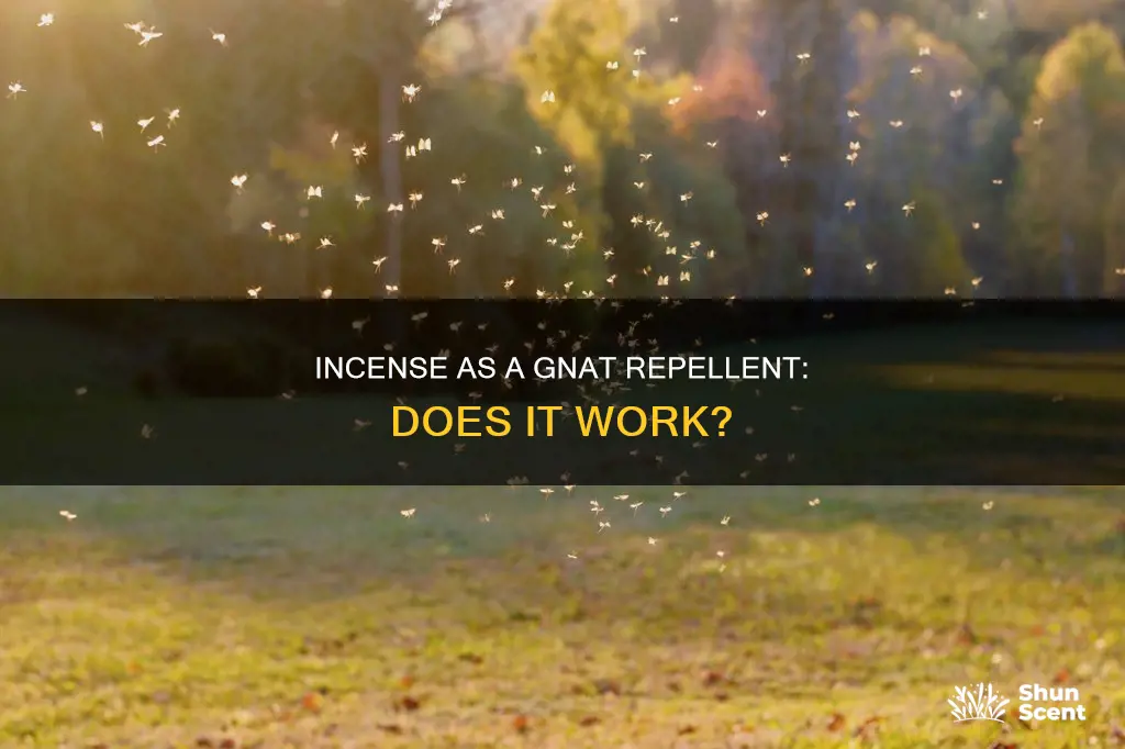 do incense get rid of gnats