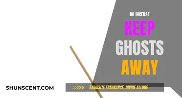 Incense and Exorcism: Keeping Ghosts at Bay