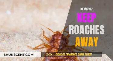 Incense as Insect Repellent: Do They Work?