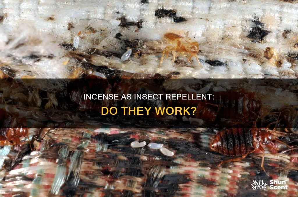 do incense keep roaches away
