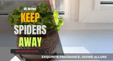 Incense and Spiders: A Natural Repellent?