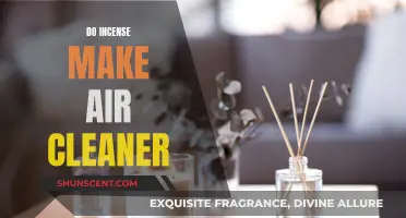 Incense and Air Quality: Clearing the Air