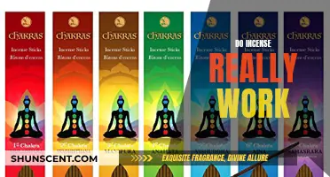 Incense: Do They Work? The Science Behind the Scent