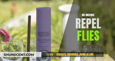 Incense as Fly Repellent: Does it Work?
