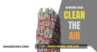 Incense Sticks: Air Purifiers or Pollutants?