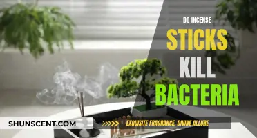 Incense Sticks: Ancient Air Purifiers and Bacteria Killers?