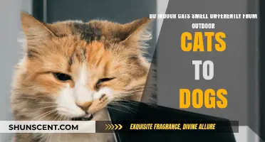 Feline Scents: Do Indoor and Outdoor Cats Smell Different to Dogs?