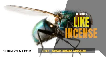 Incense and Insects: A Fragrant Attraction?