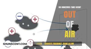 Do Ionizers Effectively Remove Odors and Purify Indoor Air?