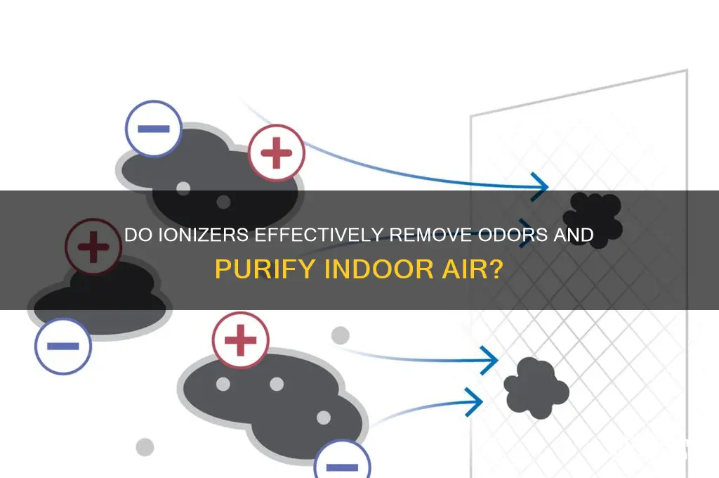 do ionizeres take scent out of air