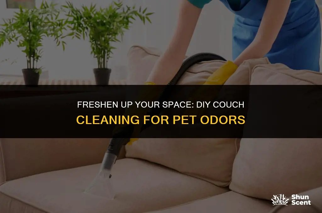 do it yourself couch cleaning that smells of dog urine