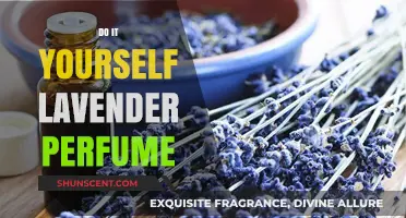 Lavender Perfume: DIY Your Calming Scent