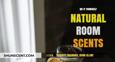 Create Your Own Natural Room Scents: DIY Aromatic Ideas