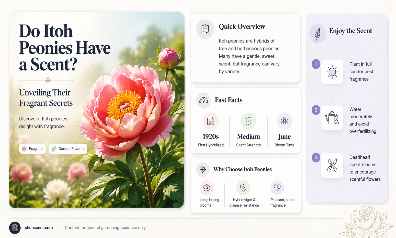 are itoh peonies scented