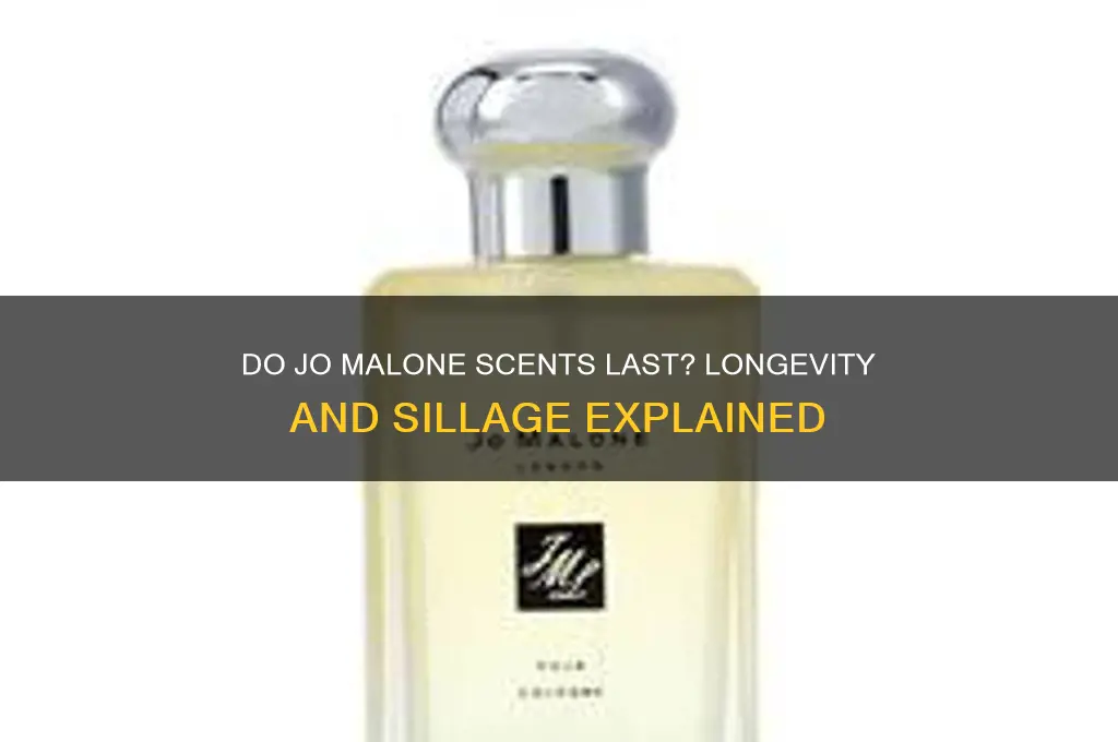 do jo malone scents last