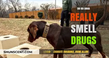 Unleashing the Truth: Do K9 Dogs Really Smell Drugs?