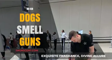 Can K9 Dogs Detect Firearms: The Science Behind Their Sniffing Skills