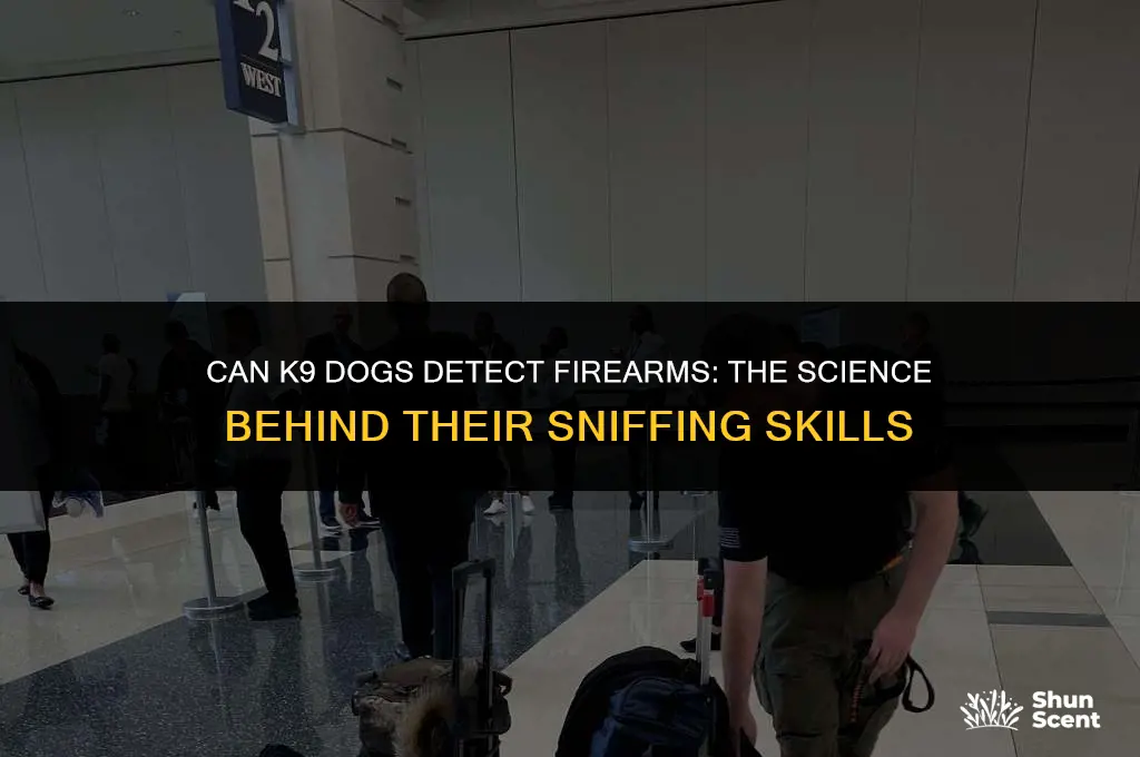 do k9 dogs smell guns