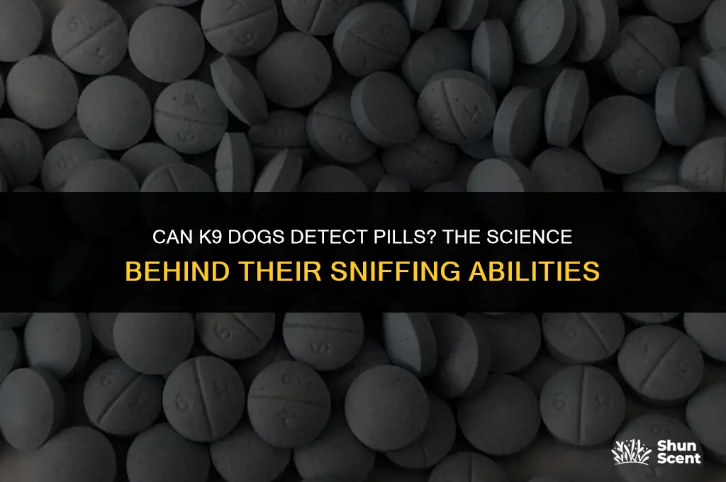 do k9 dogs smell pills